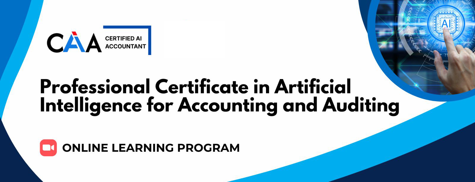 pc-artificial-intelligence-for-accounting-and-auditing